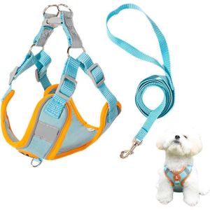 Eryi-Harnais Pour Chien Avec Laisse, Harnais Anti-Traction, Pour Que Votre Chien Arrête De Tirer Sur Sa Laisse, Harnais De Anti-Traction Pour Chiens - Neuf