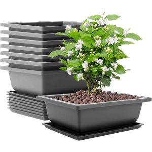 NouvelHorizonstore-Lot de 8 grands bols &agrave; bonsa&iuml; - 22,5 x 16,5 x 7,5 cm - Avec soucoupe - En plastique - Pour l'int&eacute;rieur et l'ext&eacute;rieur - Pour jardin, salon, balcon - Neuf