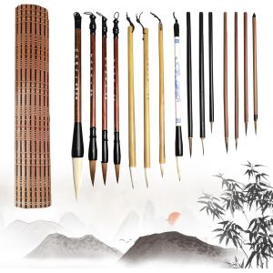 Tianyi-Lot De 15 Pinceaux De Calligraphie Chinoise Pour Débutants - Différentes Tailles Avec Rideau De Stylo - Stylos De Calligraphie Traditionnels Pour Dessin, Écriture, Peinture - Neuf