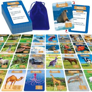 Chenquansarl-Jeu De Cartes De Chasse Au Trésor En Extérieur, 50 Cartes D'introduction Aux Animaux En Taille Jumbo, Jouets Éducatifs Pour Activités En Pleine Nature, Jeux En Extérieur Pour Enfants Et - Neuf