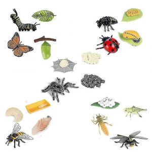 Cycle de vie Figurines De Papillon Araignée Abeille Coccinelle Libellule,Plastique Insecte Bug Figures Jouet,Sch - Neuf