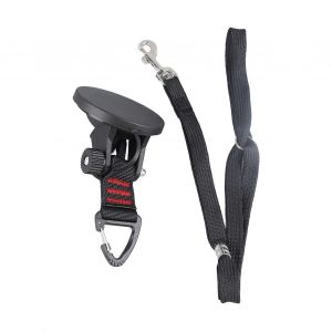 Laisse De Bain Pour Chien Avec Ventouse, Collier Interchangeable, Laisse De Retenue Pour Baignoire - Neuf