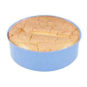 Moule &Agrave; G&acirc;teau Antiadh&eacute;sif En Silicone De 25 Cm Pour G&acirc;teaux, Pizzas Et Pains - Bleu - Neuf