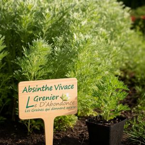 100 Graines &Agrave; Semer - Le Grenier D'abondance - Absinthe Vivace - Artemisia Absinthium - Neuf