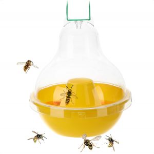 Piège à insectes XXL en plastique-Piège vivant protecteur de la nature à suspendre-Attrape-insectes avec couvercle amovible-Lutte anti-insectes sans cruauté-Insectifuge - Neuf