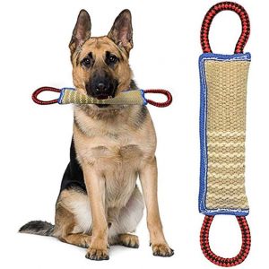 Jouet À Mordre Pour Chien Avec 2 Poignées 30 Cm - Jouet À Mordre Flottant Et Éducatif, Bénéfique Pour La Santé Dentaire Du Chien, Jouet Interactif À Ficelle Pour Chien De Grande Et Moyenne Taille. - Neuf