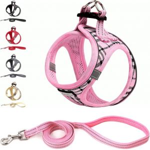 Jgd-Harnais Chien Et Laisse - Respirant - R&eacute;fl&eacute;chissant - Step-In Harnais Pour Chiens, Gilet Rembourr&eacute; Confort Mesh Doux Pour Petite Chiens Chats Pour Marcher, Courir (Rose, M) - Neuf