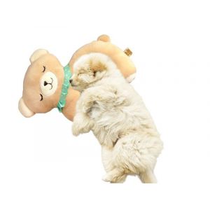 Coussin De Couchage Pour Chien Motif Ours &iquest; Lit Confortable Et Lavable Pour Petits Et Moyens Chiens - Neuf