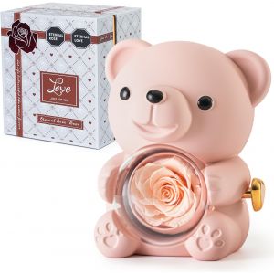 Ours en Rose Champagne avec Rose &Eacute;ternelle - Fleurs R&eacute;elles et Collier en Forme de C?ur - Coffret Gris &Eacute;l&eacute;gant - Id&eacute;e Cadeau pour Saint-Valentin, F&ecirc;te des M&egrave;res, Mariage, Anniversaire - Neuf