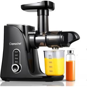 NouvelHorizonstore-Extracteur de Jus avec Double Vitesse Modes (Soft et Hard) - Extracteur de Jus de Fruits et L&eacute;gumes - Juicer Machine avec Bouteille &agrave; jus Portable et 2 Tasses - Noir - Neuf