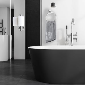 TZF-Anneau Porte-Serviettes et Porte-Papier Toilette, Ensemble de 2 pi&egrave;ces de mat&eacute;riel de Salle de Bain, en Acier Inoxydable, Porte-Serviettes et Porte-Papier Toilette, Accessoires de Salle de Bain A - Neuf