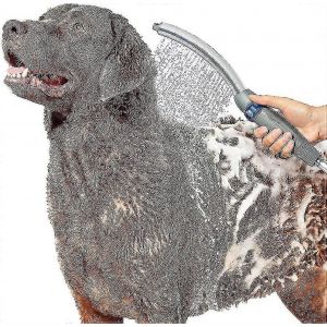 Ppr-252 Accessoire Professionnel De Pulv&eacute;risateur De Douche En B&acirc;ton Pour Animaux De Compagnie,2,5 Gpm,Nettoyage Facile Pour Chiens &Agrave; La Maison,Gris - Neuf