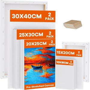 Mevronisshop-Lot De 10 Toiles Vierges Tendues Pour Peinture, 10x15, 15x20, 20x25, 25x30, 30x40cm, 280gsm Chassis Pour Toile De Bois Tendue Pour Aquarelle Acrylique, Artistes Et D&eacute;butants - Neuf