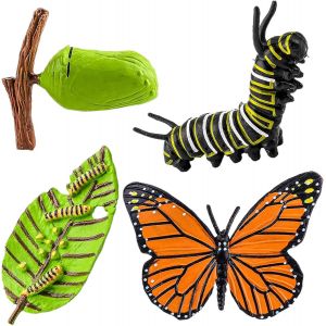 Sansh-Lot De 4 Figurines D'insectes Pour Cycle De Vie Des Papillons, Apprentissage Préscolaire Enseignement Des Insectes, Cycle De Croissance Des Insectes Jouet Réaliste Pour L'éducation (Papillons) - Neuf