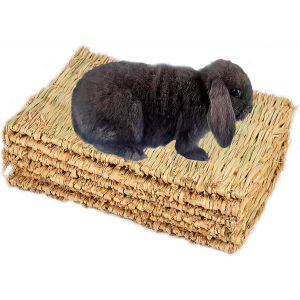 Chenquansarl-Tapis Tissé En Herbe Naturelle Pour Petit Animal, Nichoir De Cochon D'inde, Jouet À Mâcher Pour Perroquet, Lapin, Hamster, Rat, 6 Pièces - Neuf
