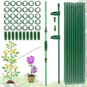 SEPT-(100PCS) Tuteur Plante Interieur, 20 Pièces Tuteur Plante Interieur, 30 Tiges de Plantes Clips, 10 Tiges Tube d'extension, Support Plante Grimpante, Tuteur Orchidee, Fixation de Croissance des P - Neuf