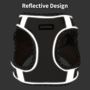 Ensemble Harnais Et Laisse Pour Chien Anti-Traction, Harnais R&eacute;glable Pour Chien Avec Gilet Rembourr&eacute; Pour Tous Les Temps, Facile &Agrave; Mettre Sur Les Petits Chiens Turquoise S - Neuf