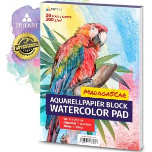 KALANKA-Carnet de Papier Peinture Aquarelle A4 300g - Bloc de 20 Feuille à Dessin et à Esquisse Professionnelle Épaisse et sans Acide -pour les Débutants et les Experts - Neuf