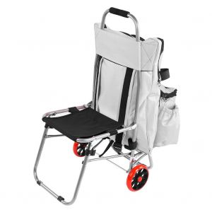 Planche a dessin portable multifonctionnelle, chaise pliante, sac a croquis, chariot de peinture (argent) - Neuf