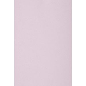 20x Carton Lila 250g Papier D&eacute;coratif A4 210x297mm Burano Lilla Id&eacute;al Pour Cartes De Voeux Scrapbooking Bricolage Invitations Art Et Artisanat Anniversaire Diy Loisirs Cr&eacute;atifs - Neuf