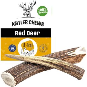 Bois De Cerf Élaphe Xxl Plus,Hard,1 Pièce 100% Naturel Bâtonnets Jouets À Mâcher Naturels Pour Chien,Mâcher Des Os Pour Le Plaisir Et Les Soins Dentaires,Favorisant L'hygiène Dentaire - Neuf