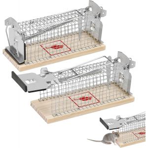 2 Pcs Piège à Rat à Ressort,Piege à Souris Intérieur 15.3x7.1x6 cm,Attrape Rat en Métal,Cage Souris sans Cruauté,Petite Cage Attrape pour Fouine,pour Garage Grenier Maison Cuisine - Neuf