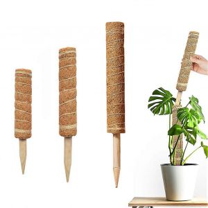 Lot de 3 cages a plantes en fibre de coco, supports reutilisables pour plantes grimpantes et fleurs, pour interieur et exterieur (balcon, jardin, cour). - Neuf