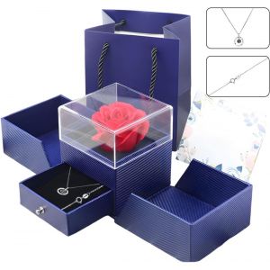 V&eacute;ritable Rose Rouge Conserv&eacute;e Avec Collier En Argent Sterling S925 - Neuf