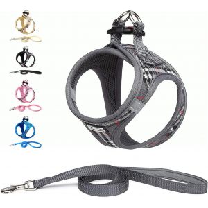 Harnais Chien Et Laisse - Respirant - R&eacute;fl&eacute;chissant - Step-In Harnais Pour Chiens, Gilet Rembourr&eacute; Confort Mesh Doux Pour Petite Chiens Chats Pour Marcher, Courir (Rose, M) - Neuf