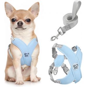 Eryi-Harnais Pour Chiens Avec Laisse, Harnais Sécurisé Anti-Traction En Forme De X, Veste Pour Chiens De Petite & Moyenne Taille, Ceinture De Sécurité D'animaux Réglable Pour Promenade, S - Bleu - Neuf