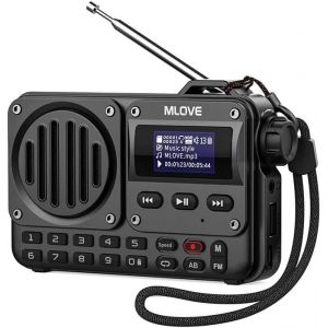 lbgwp60-Bv800 Haut-Parleur Bluetooth Portable Avec Radio Fm, Écran Lcd, Prend En Charge La Lecture Via Bt 5.0, Aux-In, Clé Usb Et Carte Tf Pour Profiter De La Musique En Déplacement - Neuf
