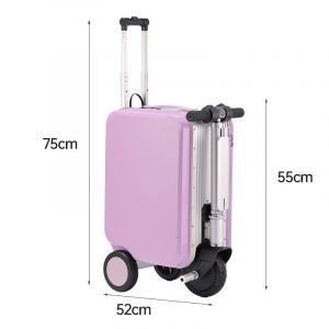 Valise &Agrave; Roulettes En Alliage D'Aluminium Pour V&eacute;lo &Agrave; Assistance &Eacute;lectrique, 20 Pouces, Sans Enregistrement, Longue Port&eacute;e, Boucle M&eacute;tallique---&Eacute;dition Violette - Neuf