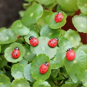 10Pcs Mini Coccinelle Rouge Fy pour Maison De Poup&eacute;e D&eacute;cor De Jardin Ornement - Neuf