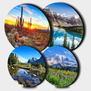 Jexnovashop-Saguaro Lot De 4 Cache-Plaques Rondes En M&eacute;tal Motif Cactus Pour Cuisini&egrave;res &Eacute;lectriques, Cuisini&egrave;re &Agrave; Gaz, Ustensiles De Cuisine, Accessoires De Cuisine Modernes - Neuf