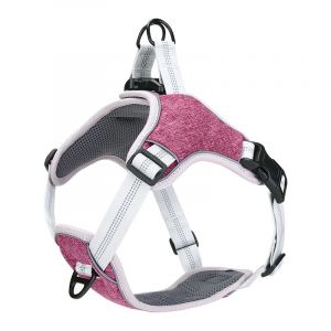 Fournitures Pour Animaux De Compagnie Violettes En Tissu Oxford, Sangle De Poitrine Réglable, Laisse Pour Chien, Type Gilet Réfléchissant Détachable. - Neuf