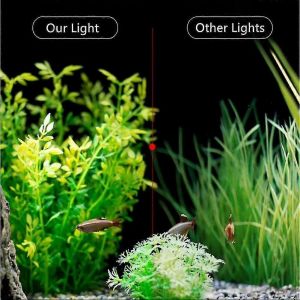 Lampe D'aquarium Lampe Led Blanc Et Bleu Nano Clip-On Éclairage Pour Plantes À Poissons 23-50cm-Noir - Neuf