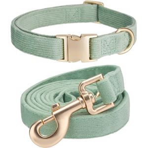 Jgd-Ensemble Collier Et Laisse Pour Chien Petite Taille, Doux, Non-Irritant, Collier En Velours C&ocirc;tel&eacute; Et Laisse Assortis Pour Petites Races Lors Des Promenades Quotidiennes, Vert Sauge - Neuf