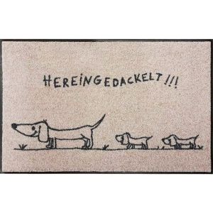 Efia Sld0653 Paillasson Inscription Allemande' Hereingedackelt' Chien Teckel - Neuf