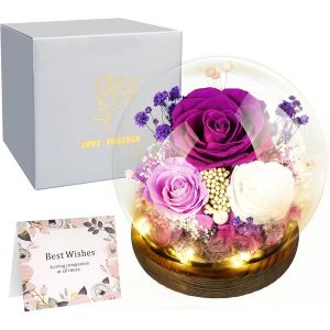 Rose &Eacute;ternelle sous Cloche avec Lumi&egrave;re LED - Bouquet de Roses &Eacute;ternelles Sans Entretien, Cadeau &Eacute;motionnel pour Maman, &Eacute;pouse et Petite Amie - Id&eacute;al Anniversaire, F&ecirc;te des M&egrave;res et Mariage - Neuf