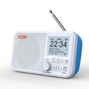 Radio numérique C10 DAB DAB + FM avec antenne télescopique,écran LCD pour documents,compatible Bluetooth,radio de - 1PCS-D40445 - Neuf