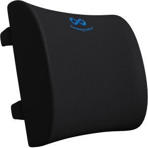 JEXNOVASHOP-Coussin Lombaire en Mousse M&eacute;moire de Forme pour Chaises De Bureau et Gaming, Voiture et Canap&eacute; &iquest; Coussin Ergonomique Soulageant Les Douleurs - Neuf