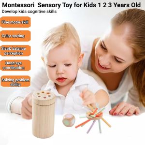 Montessori Toys for 1 2 3 Year Old,Wooden Sensory Toy for Toddlers 1-3 Years Old,6-12 Months Baby,Fine Motor Skill,Color Stick Sorting and Stacking Game - Neuf
