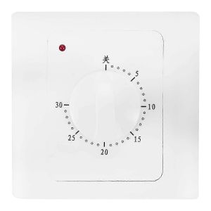 Interrupteur de minuterie numerique electrique, 220 V, 10 A, 30 minutes, compte a rebours, prise de commande, bouton mecanique, BS - Neuf
