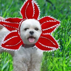 Déguisement D'halloween Pour Chien, Couvre-Chef, Déguisement De Déguisement Pour Animal De Compagnie, Chat, Chiot, Chapeau Pour Halloween, Noël - Neuf