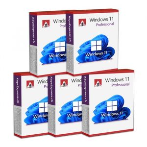 Windows 11 Pro Mak (5 Pc) - Neuf