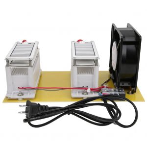 Generateur d'ozone portable 20 g, appareil de desinfection professionnel pour la qualite de l'air interieur, 200 W, prise US 110 V - Neuf