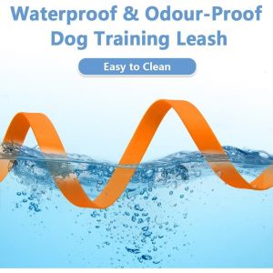 Laisse De Dressage - Longe Pour Chien Pratique Et Imperm&eacute;able Pour L'ext&eacute;rieur - Neuf