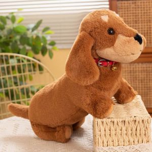 Teckel Poupée Fille Oreiller De Couchage Peluche Jouet Vêtements Chiot Poupée Cadeau Pour Enfants Collier Marron - 55 Cm 0,7 Kg - Neuf