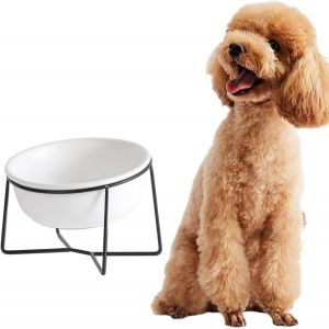 Cmws-Gamelle Chien Chat - Surelevee Et Inclinée Avec Support - Gamelle Pour Chien Moyen | Gros Chat - Bol En Ceramique Pour Eau Et Nourriture - 850ml - Neuf