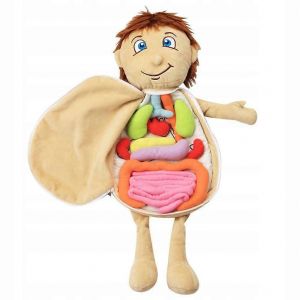 Jouet en peluche Organes Anatomie Jouet - Neuf
